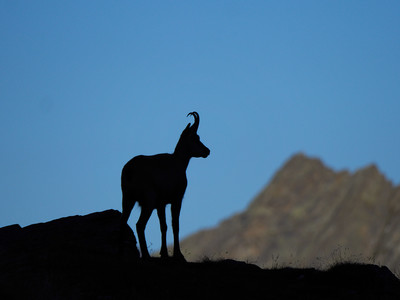 [Concours Photo Sophie 2022] au coucher du soleil-Parc National du Grand Paradis