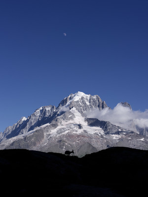 [Concours Photo Sophie 2022] Aiguille Verte depuis les Aiguilles Rouges