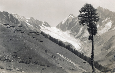 Lotschental, Alp Weritz par Gyger