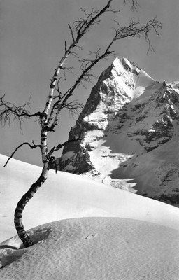 Eiger par Gyger