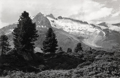 Aletschwald vers Riederalp, Geishorn par Gyger
