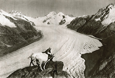 Glacier d'Aletsch, Jungfrau, Mönch, Eiger par Gyger