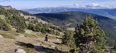 vers la bifurcation avec le GR11, vers l'Estanyol de Tarteres ou del Rifugi Malniu vers la bifurcation avec le GR11, vers l'Estanyol de Tarteres ou del Rifugi Malniu