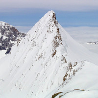 Gross Fiescherhorn : arête SE depuis l'Hinter Fiescherhorn