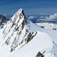 Eiger et Grosses Fiescherhorn depuis le Hinteres Fischerhorn