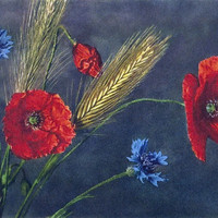 Coquelicots, centaurées, par Gyger