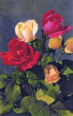 Roses par Gyger
