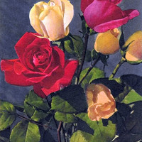 Roses par Gyger