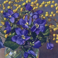 Mimosa et violettes par Gyger