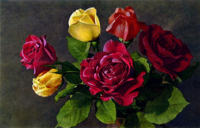 Roses par Gyger