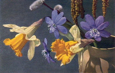 Fleurs de printemps par Gyger