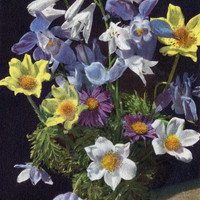 Fleurs des Alpes par Gyger