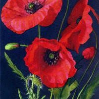 Coquelicot par Gyger