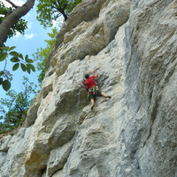 Pietro dans "La Salvetat"