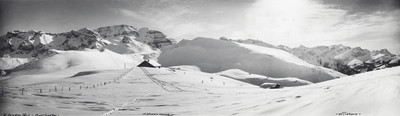 Hahnenmoos par Gyger