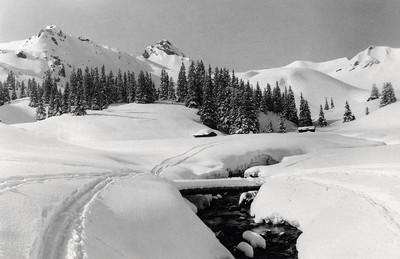 A Adelboden par Gyger