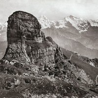 Gumihorn par Braun