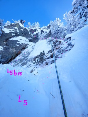 L5 L5