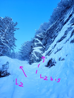 suite (L2) suite (L2)