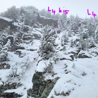 L4 (face)