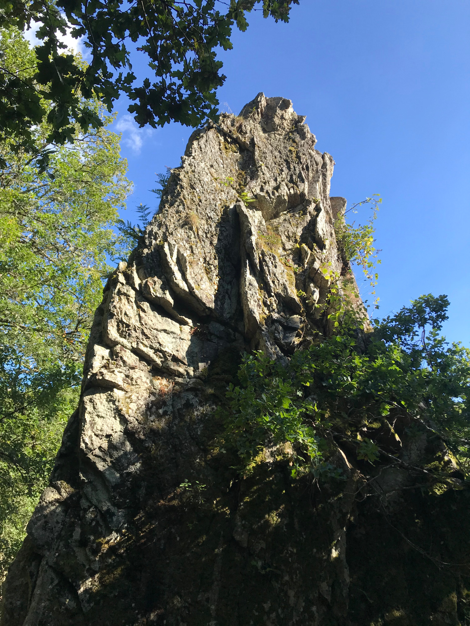 Une aiguille rocheuse en pleine forêt.