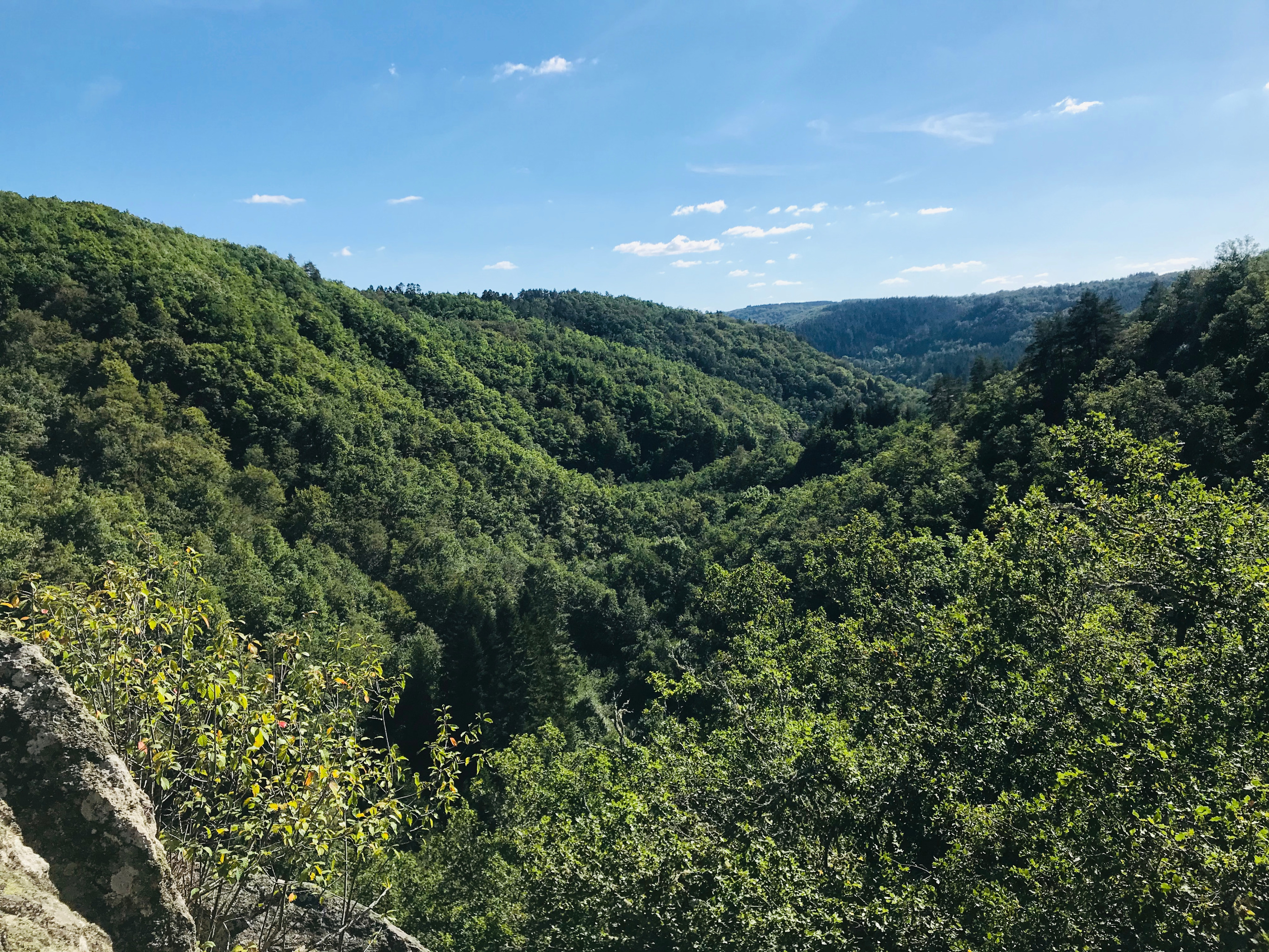 Deux autre petit secteurs au dessus, et un paysage !!