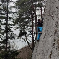 Boris dans "L'Amanite"