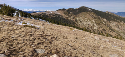 sommet depuis la Serra de la Jaça Grossa sur le chemin de Mantet au coll del Pal sommet depuis la Serra de la Jaça Grossa sur le chemin de Mantet au coll del Pal