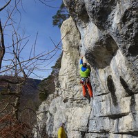 Boris dans Jouvence
