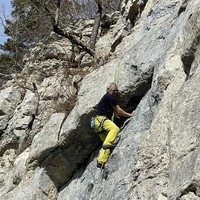 Roby dans Vikos