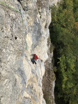 Renato dans L3 de Majestic