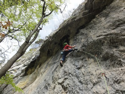 Jean-Mi dans L1 de Majestic