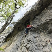 Jean-Mi dans L1 de Majestic