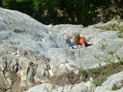Renato dans L3 de Majestic