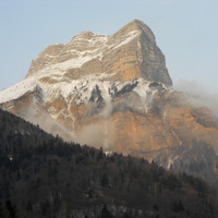 adieu la dent
