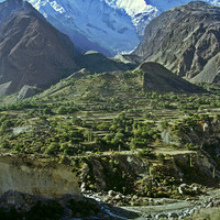 Rakaposhi par Ziegler