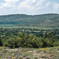 Causse du Larzac par Ziegler