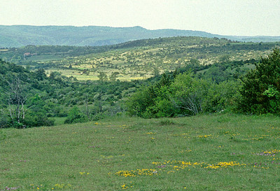 Causse du Larzac par Ziegler Causse du Larzac par Ziegler