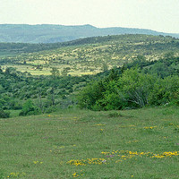 Causse du Larzac par Ziegler