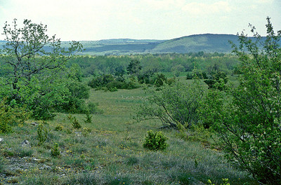 Causse du Larzac par Ziegler Causse du Larzac par Ziegler