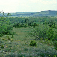 Causse du Larzac par Ziegler