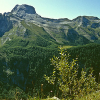 Pic de Ger vu de l'Aubisque par Ziegler