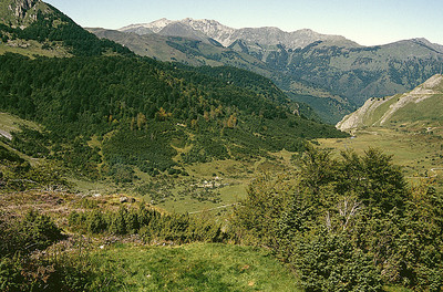 Près de l'Aubisque par Ziegler