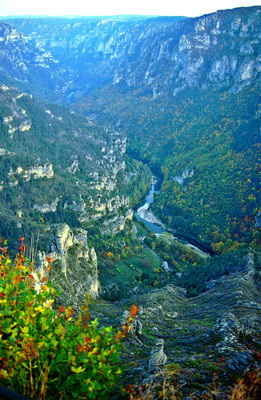 Gorges du Tarn - Point sublime par Ziegler Gorges du Tarn - Point sublime par Ziegler