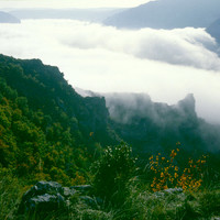 Gorges du Tarn par Ziegler