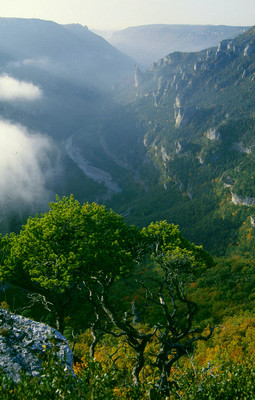 Gorges du Tarn par Ziegler Gorges du Tarn par Ziegler