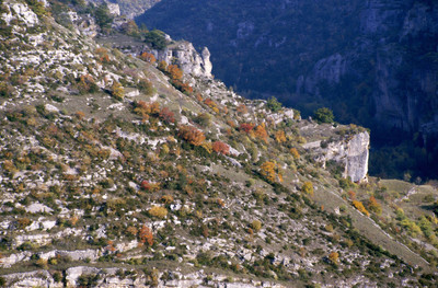 Gorges du Tarn par Ziegler Gorges du Tarn par Ziegler