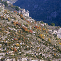 Gorges du Tarn par Ziegler