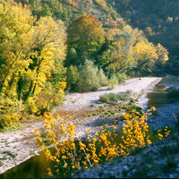  Gorges du Tarn par Ziegler