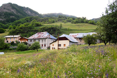 Petite Serenne